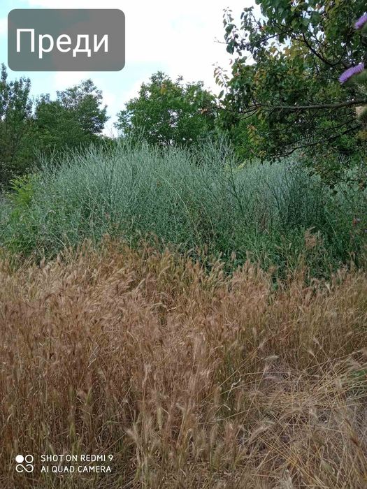 Косене на трева, почистване на силно обраснали места, коренене,рязане