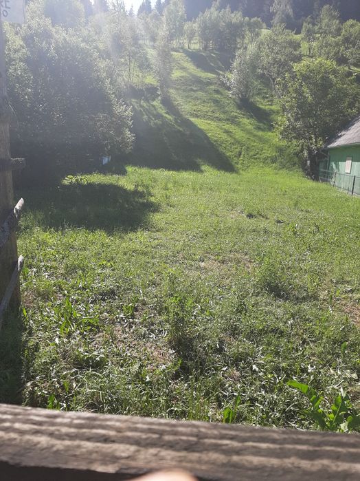 Oferta!!!Teren construibil aproape de centrul orasului Borsa Maramures