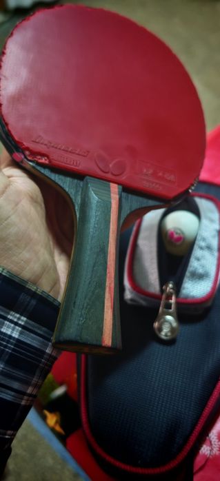 Paletă Andro Inizio Offensive cu fețe Butterfly Dignics