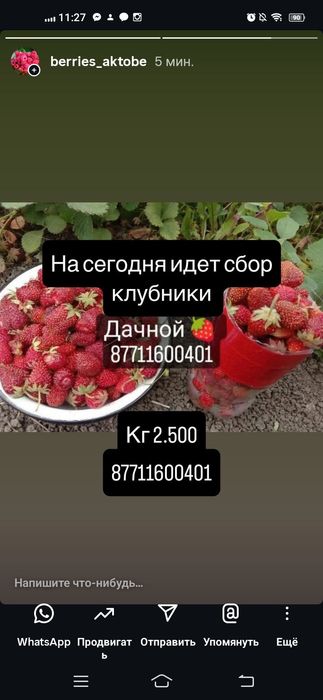 Клубника сладкая дачная с огорода