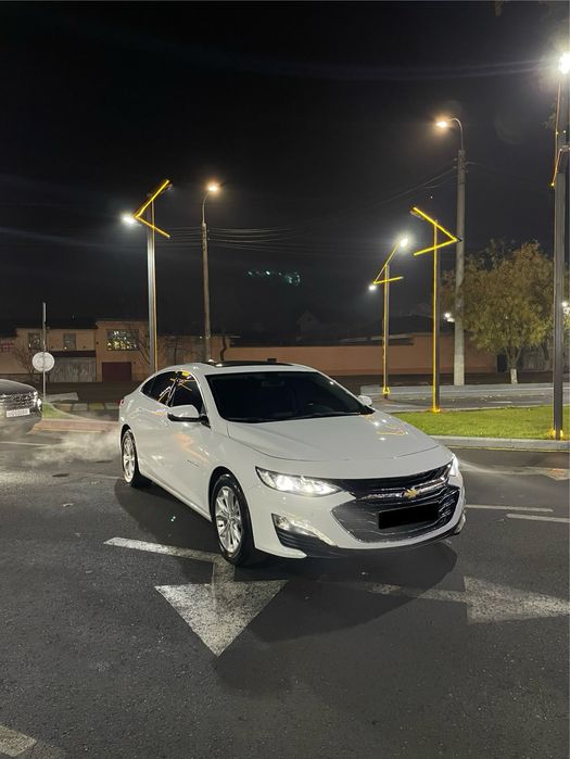 Malibu premier oq toza yili 2020