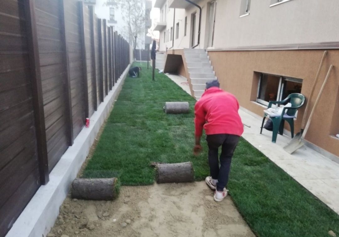Gazon rulou de trafic 24 de lei m2. Transport și montaj inclus în preț