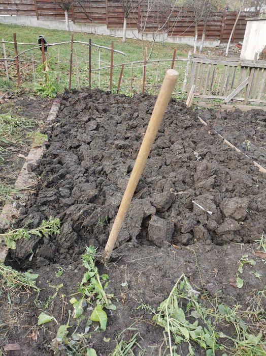 Oferim servicii de gradinarit, cosit vegetatie, toaletare gard viu