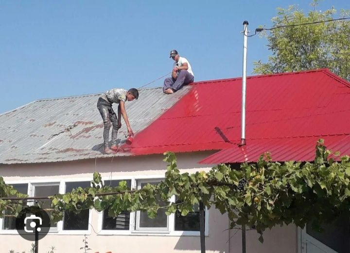 Vopsitor de tablă Ruginită