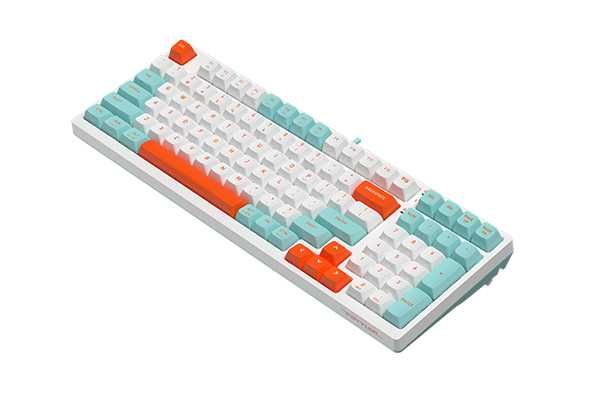 A4TECH FS300 PANDA (Snorkeling) (Rock Climbing) GAMING мех. клавиатура