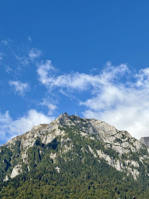 Cazare/ Vila/Casa Revelion Busteni