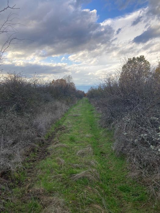 Продава се Парцел в Първомай - 2320 кв.м за 3 €/кв.м - Снимка #3