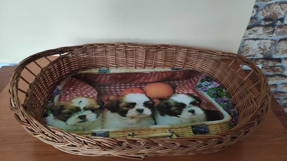 Два големи плетени панера/подноса с подсилено дъно