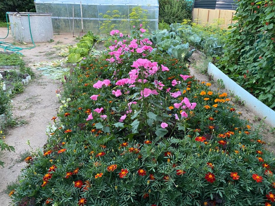 Продам дом в Петерфельде