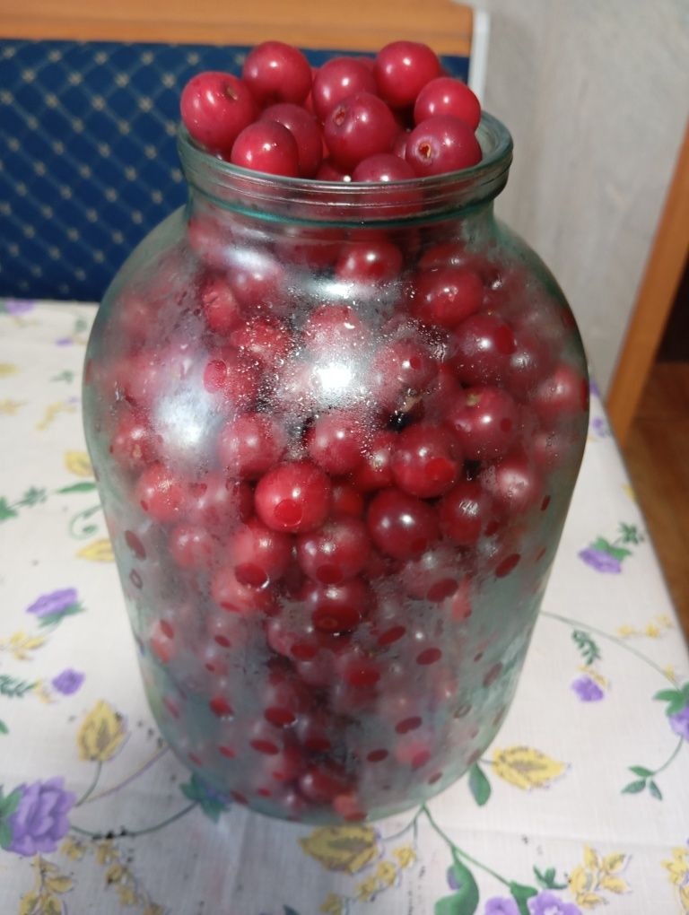 Продается вишня- 400 тенге литр