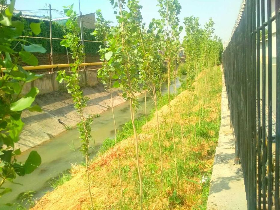 ШИНАМ ХОВЛИ УЙ СОТИЛАДИ 3 хона 5 сотик  Улугбек пос. Жуда Тинч махалла