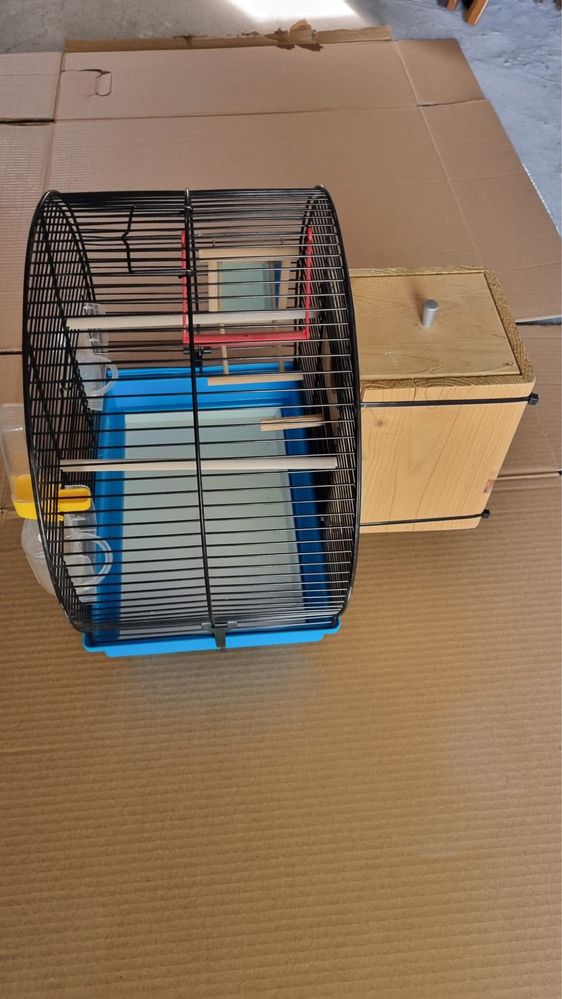 Colivie + cuib perusi