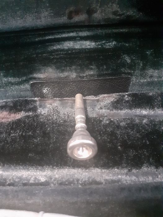 Muștiuc de trompetă 7C