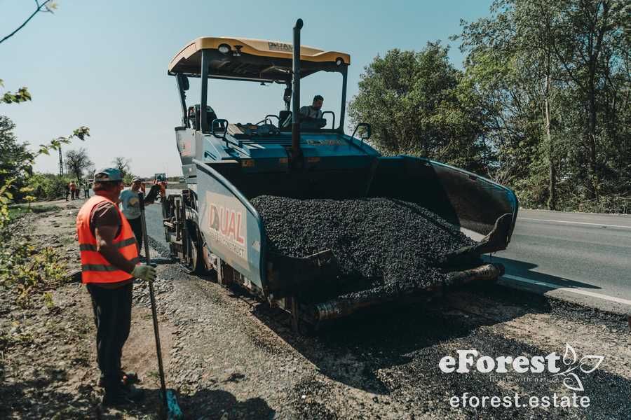 eForest, 300 lotuiri între păduri, acces direct din DN1A