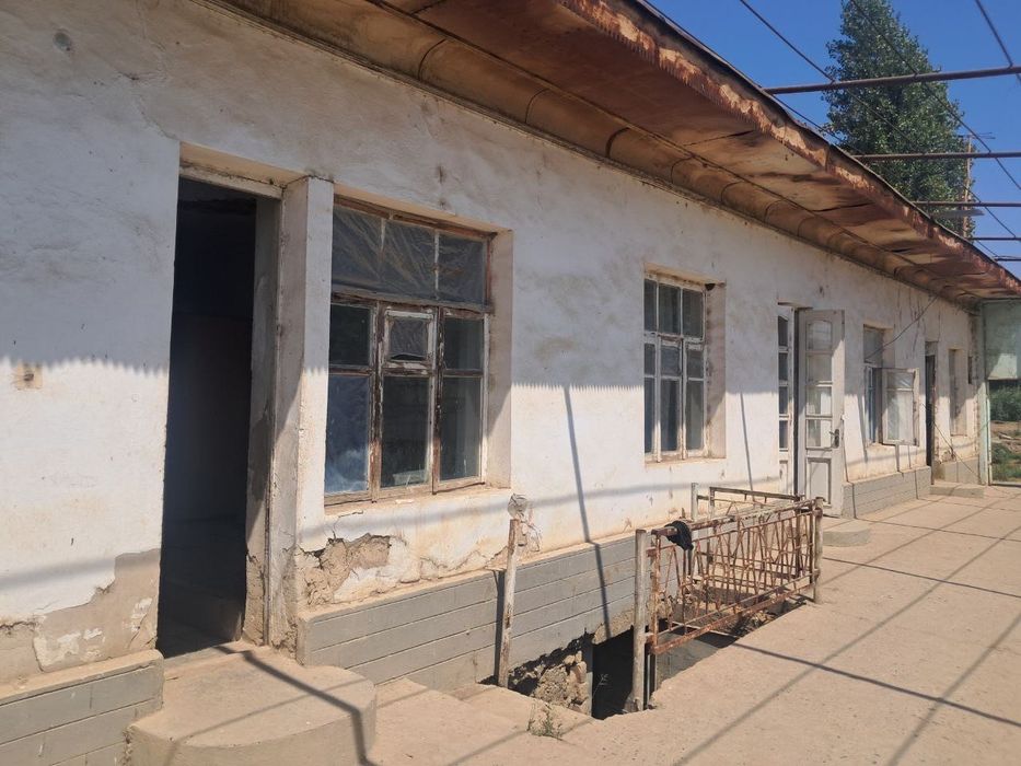 Yangiyul tumanida qora mol un ferma issiqxona teplitsasi bn sotiladi