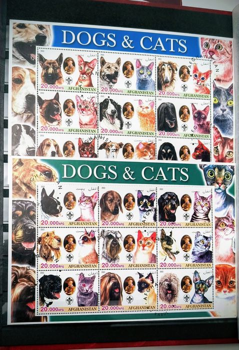 Clasor nou cu timbre deosebite animale