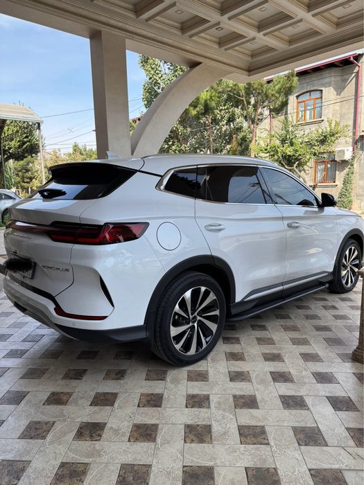 BYD chempion GIBRIT 150 full