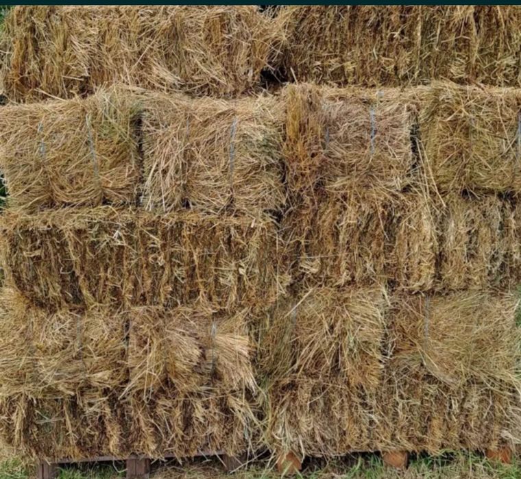 Baloți fân  19 lei  200 bucăți +