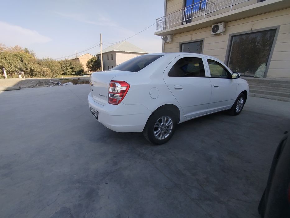 2024 kobilt metani bor