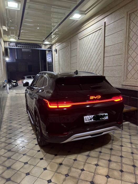 Byd chempion resytaling 2025