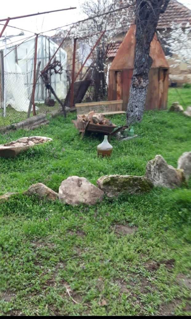 Вила под наем Видинско