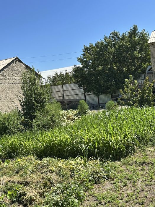 Uchastka sotiladi 6 sotixli