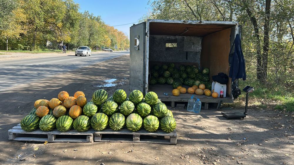 Продам арбузы оптом