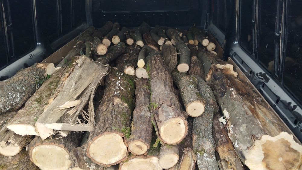 Vând lemne esnta tare