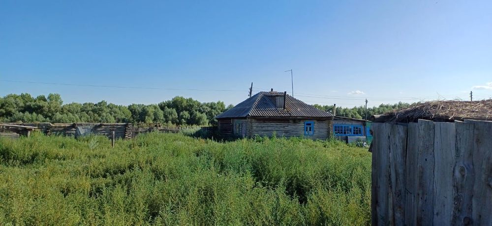 Срочно продам в селе Черемушка деревянный дом с хозпостройками.