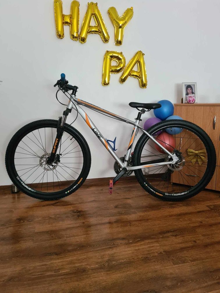 Bicicletă Supra Linie 29