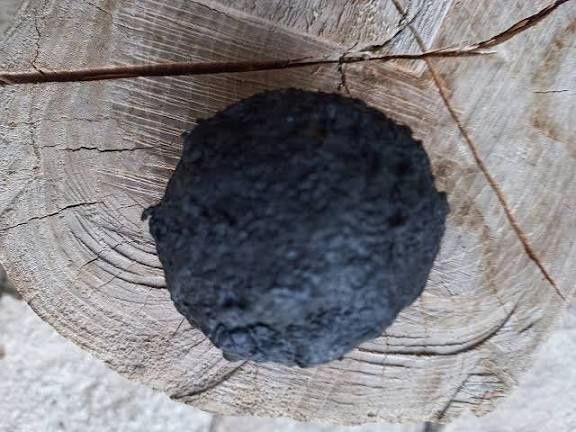 Родопско Мумио Шиладжит