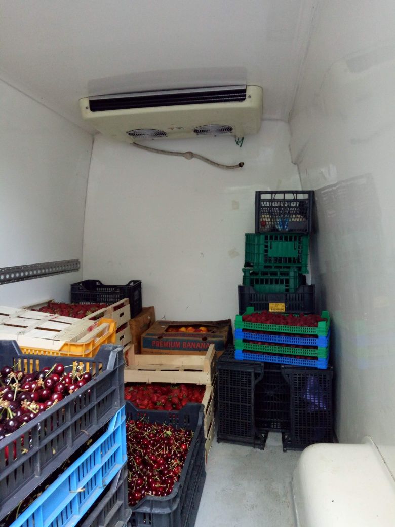 Mercedes sprinter frigorific
