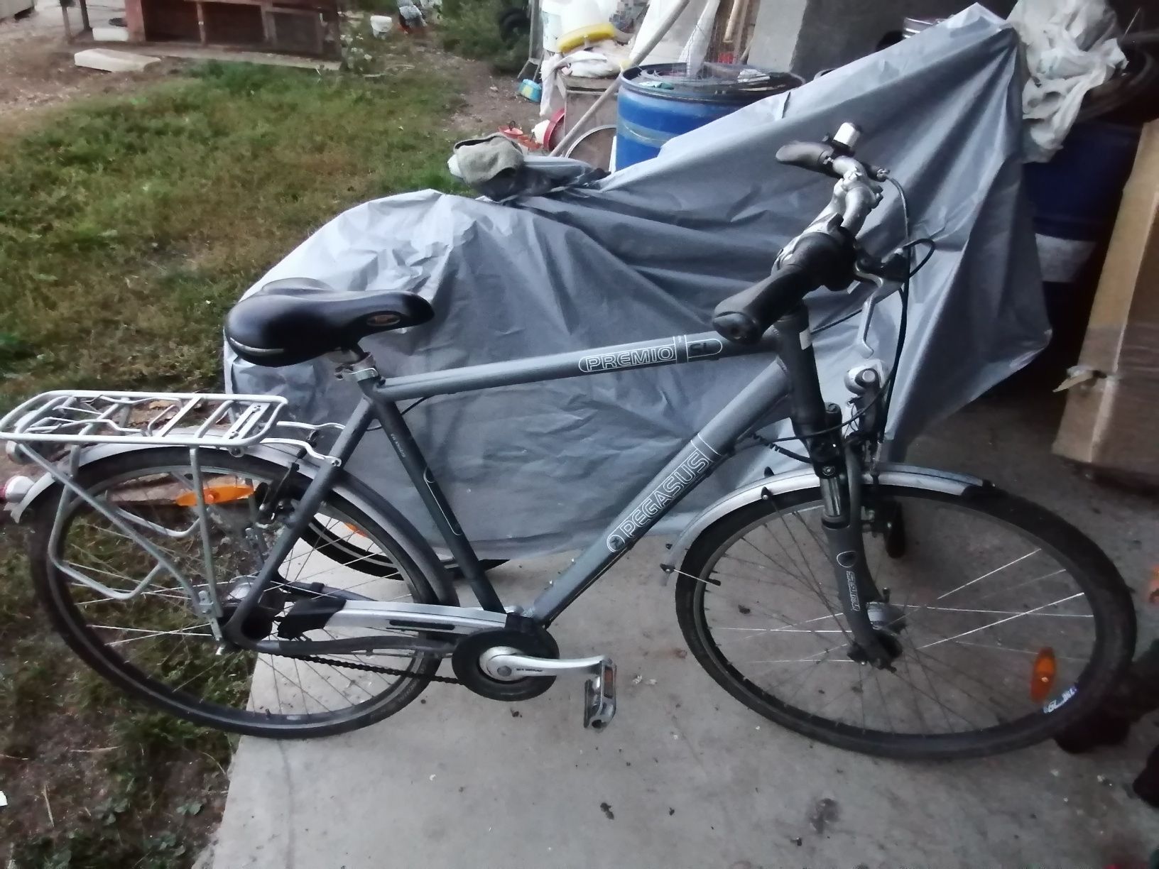 Bicicleta pegasus