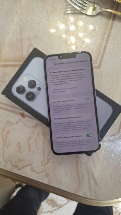 Iphone 13 pro ideal