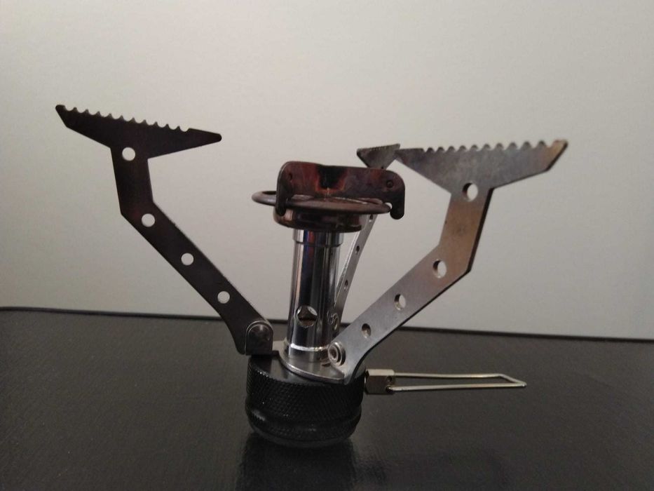 Arzator providus+