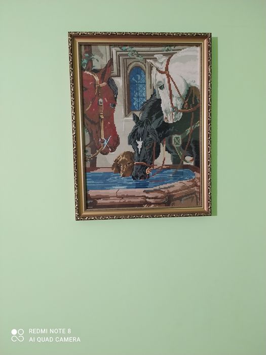 Конете на водопой