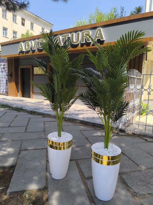 Искусственный дипсис пальма