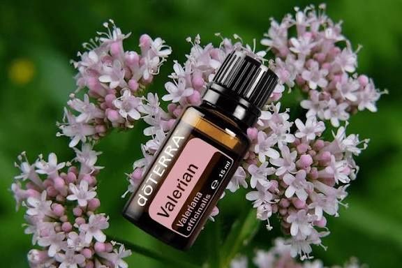 Valerian ulei 15ml