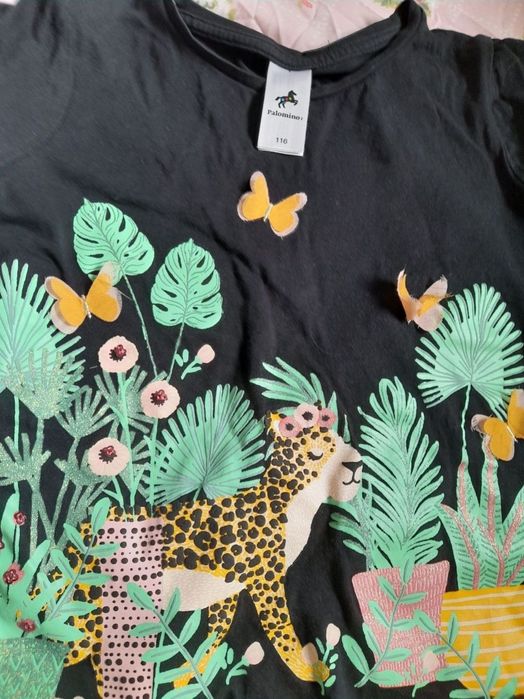 set 3 haine fata 116 5 6 ani pantaloni scurti c&a mayoral impecabile