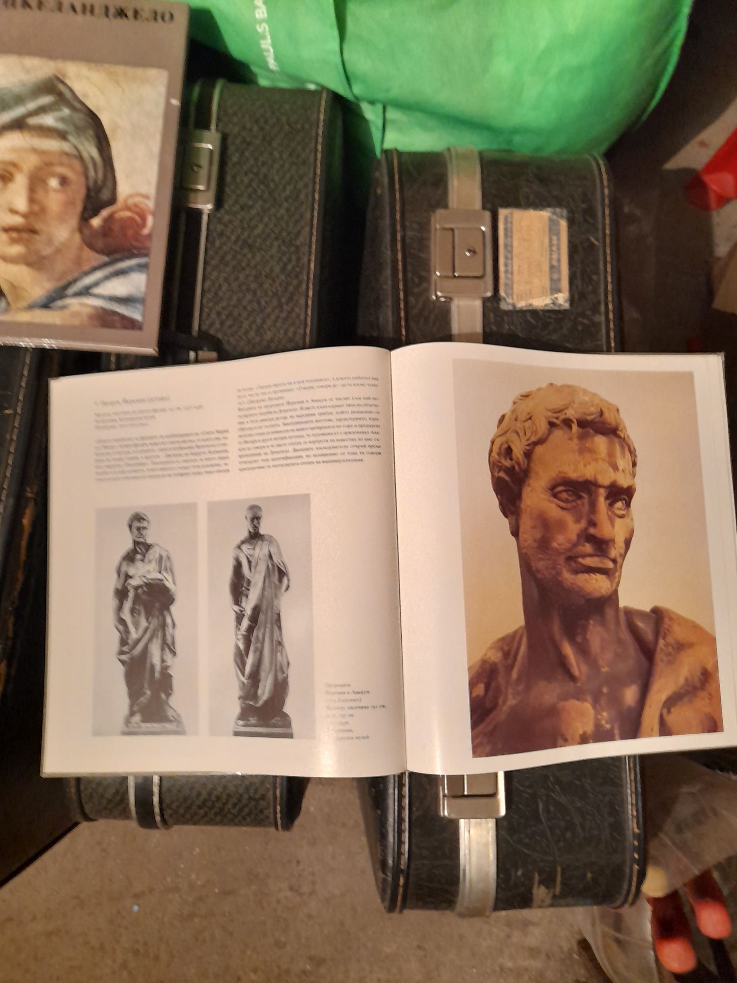 Две илюстровани книги на Микеланджело и Донатело