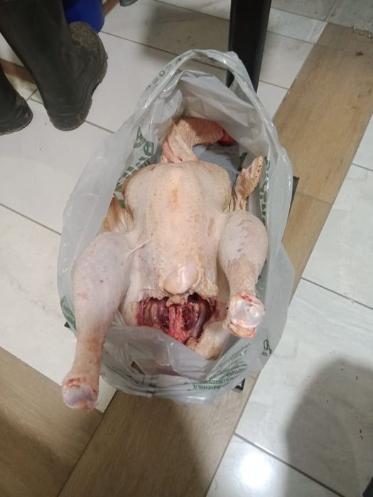 Продам индука  4000 за 1 кг