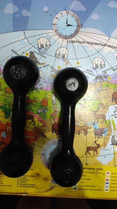 Галтели спортивные