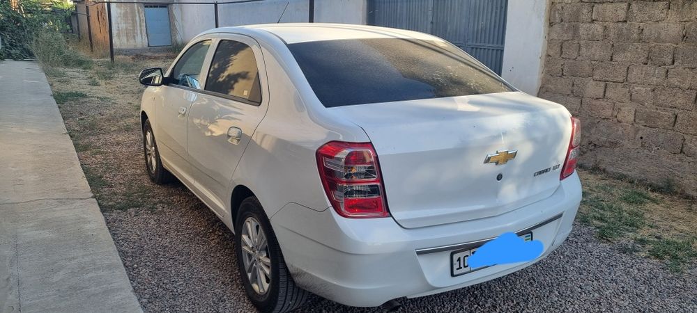 Cobalt sotiladi 2024 kraskasi tozza gazi bor