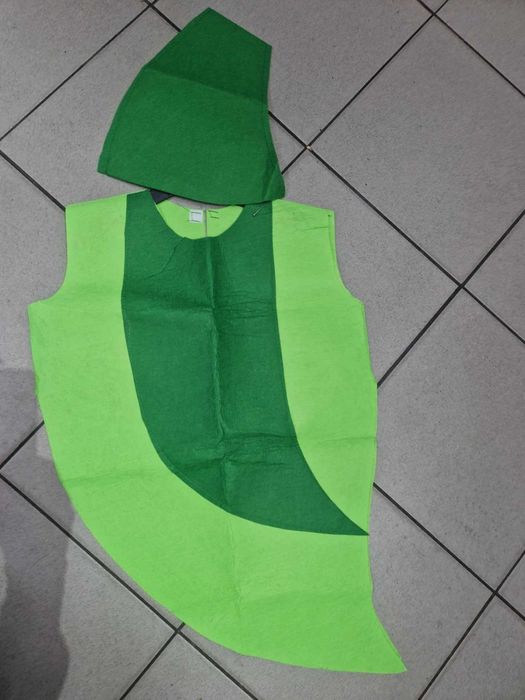 PASTAIE MAZARE FASOLE vrej costum pepene varza morcov brocoli conopida