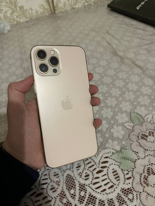 Iphone 12 Pro max