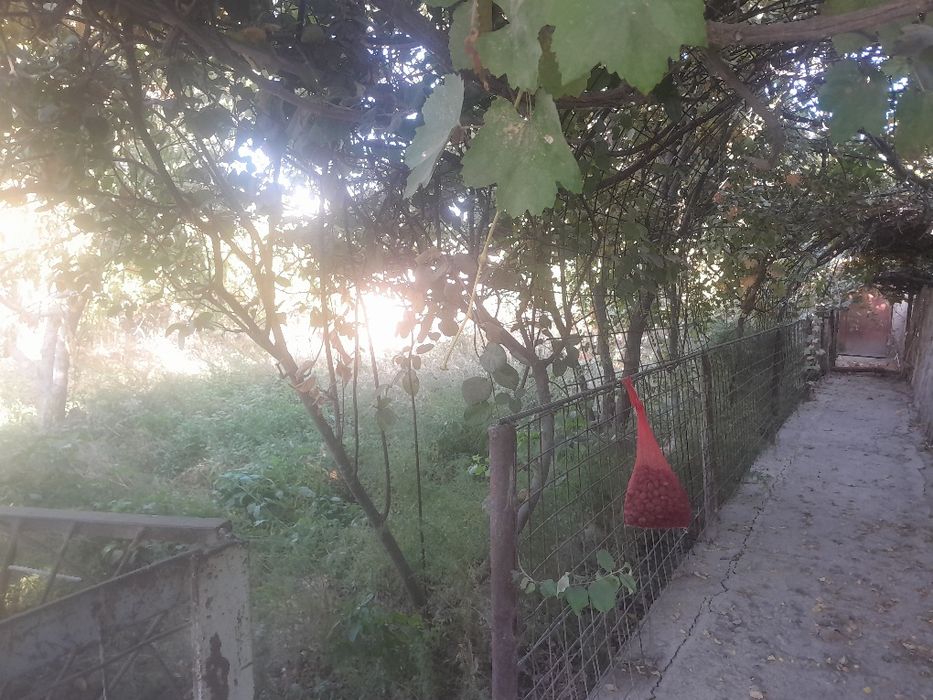 Dacha sotiladi karmanada