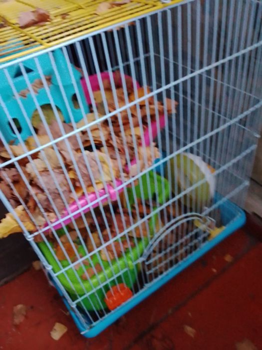 Продам новую совершенно клетку