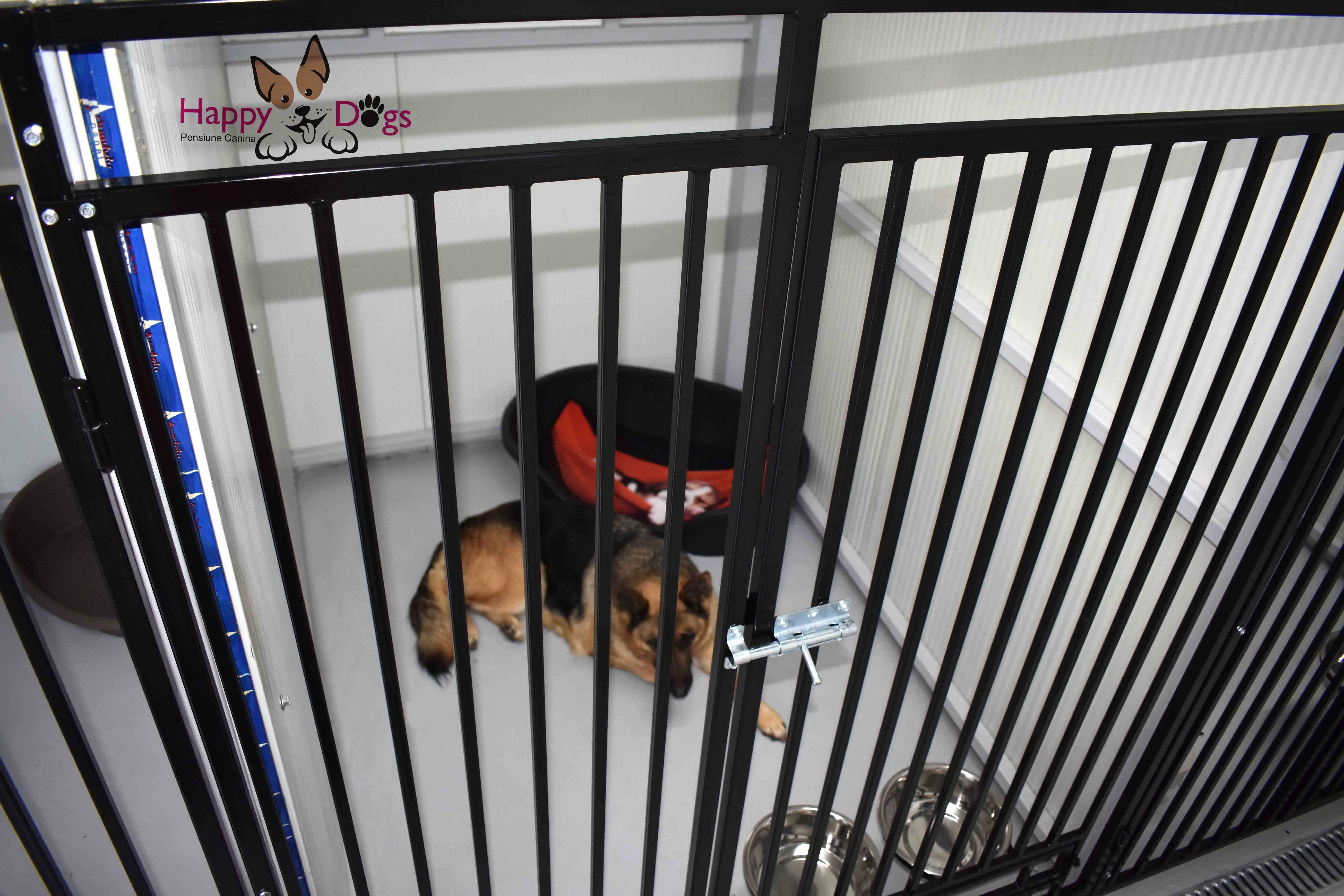 Kennel von Abgrund - Pet Sitting - Cazare Caini