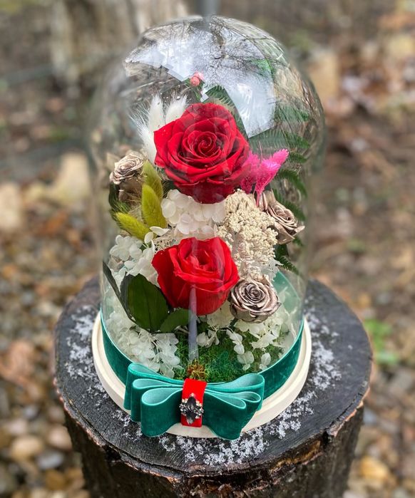 Cupole  / Trandafiri criogenati / Flori