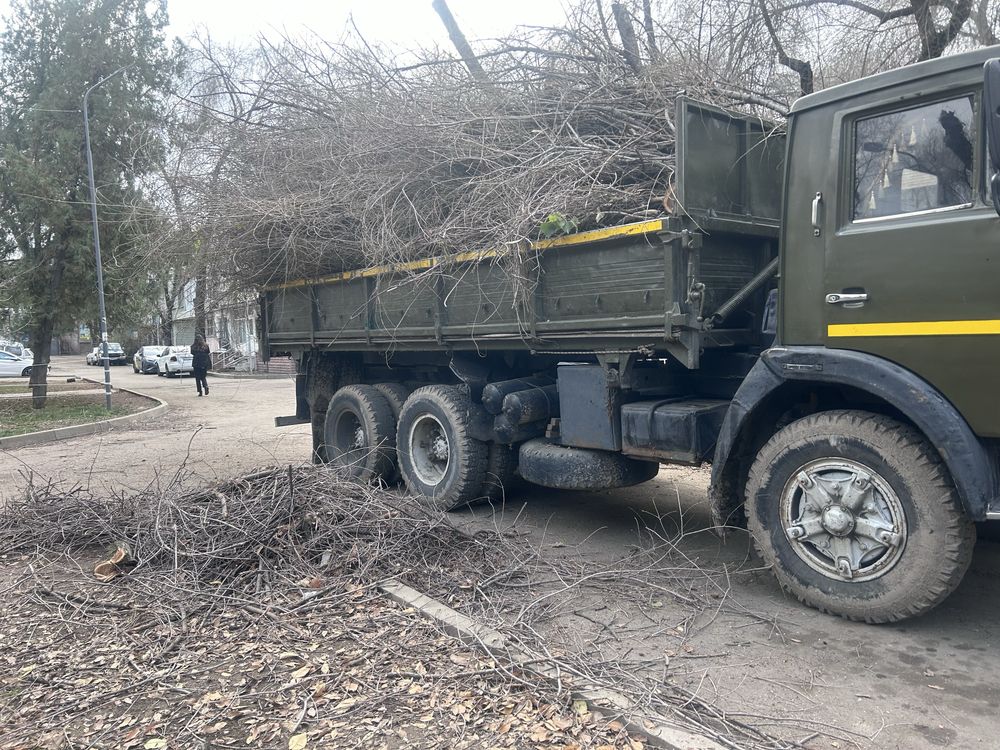 Спил деревьев, сан. обрезка.